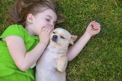 little girl whispering to dog